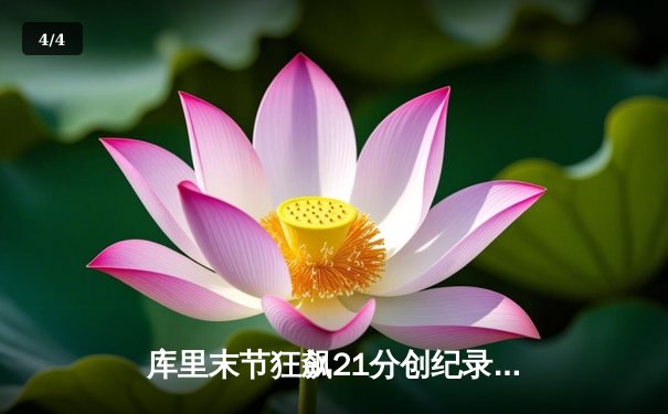库里末节狂飙21分创纪录 勇士逆转独行侠取六连胜 西部排名升至第三 - 4