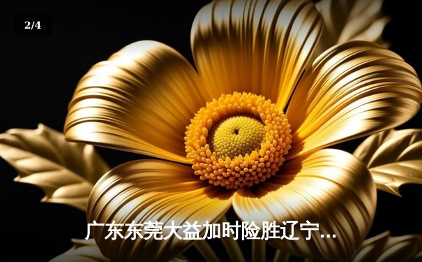 广东东莞大益加时险胜辽宁本钢，胡明轩35分导演惊天逆转 - 2