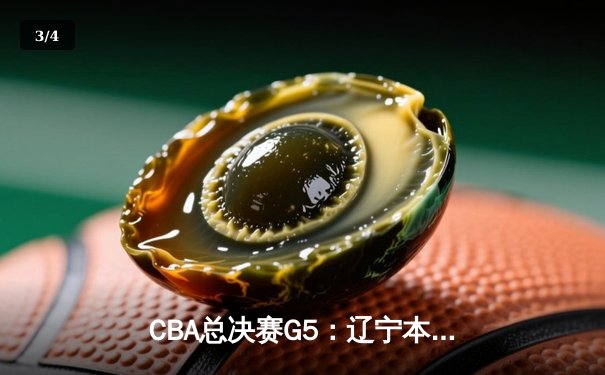 CBA总决赛G5：辽宁本钢加时险胜广东宏远 成功卫冕总冠军 - 3